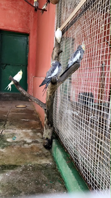 Visit to Karnala Bird Sanctuary Images